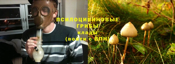 a pvp Новокубанск